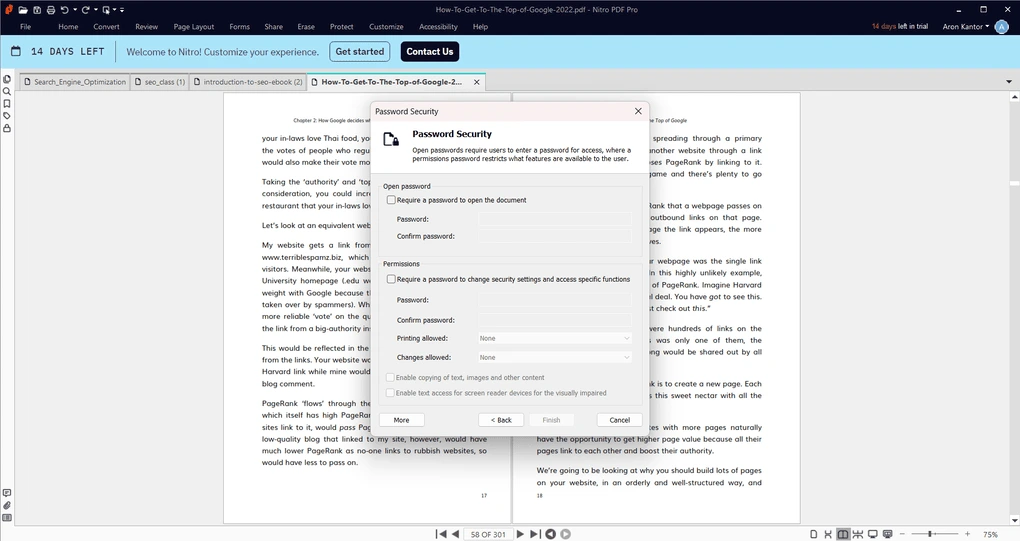 Nitro PDF protection feature