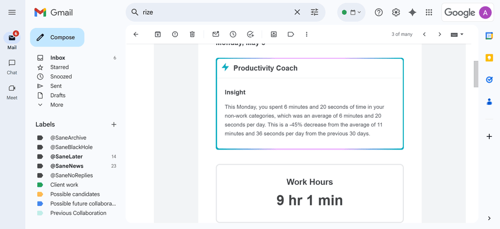 Rize's reports about time management