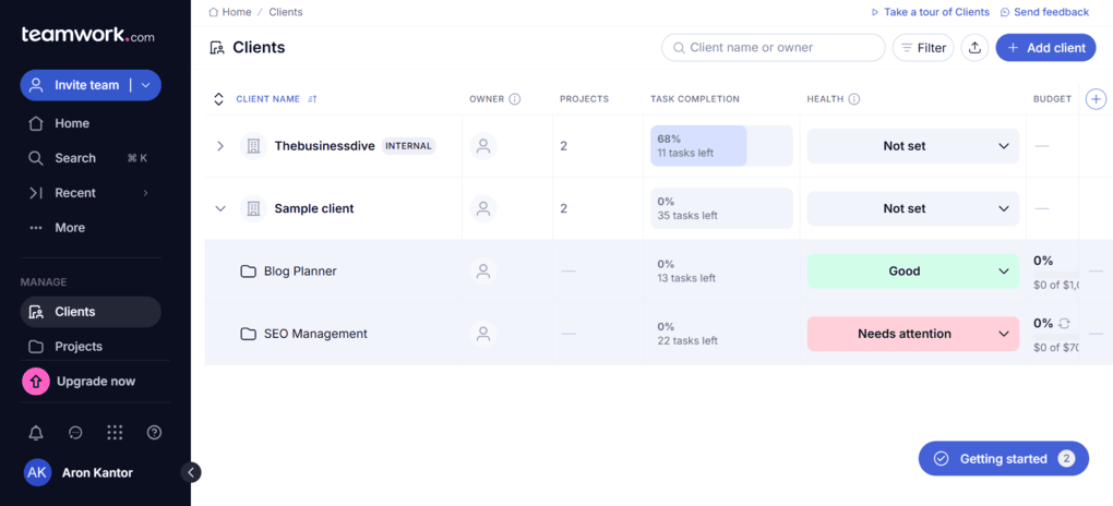 Teamwork.com's client view