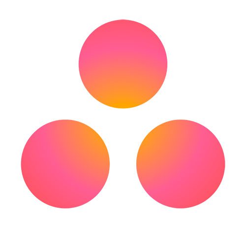 Asana is a popular project management software