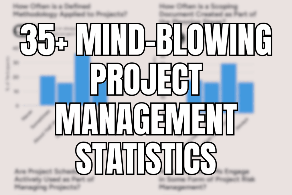 Project Management Statistics