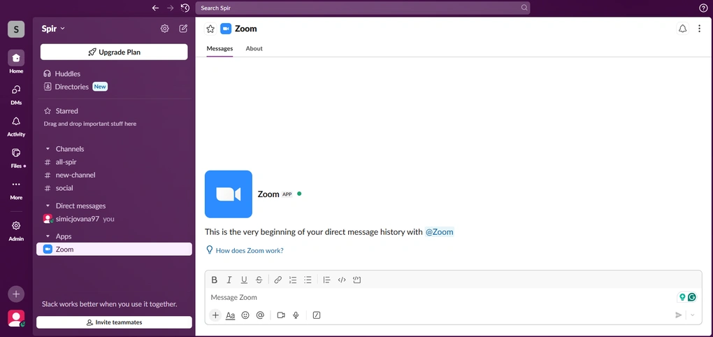 Zoom's instant meetings feature