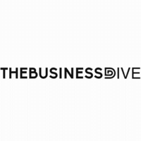 About TheBusinessDive