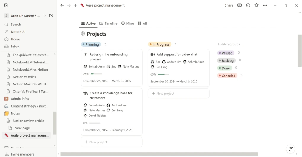 Todoist vs Notion_Notion projects