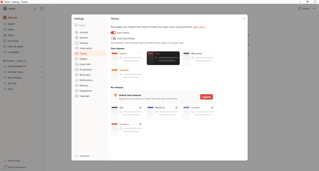 Todoist vs Notion_Todoist themes