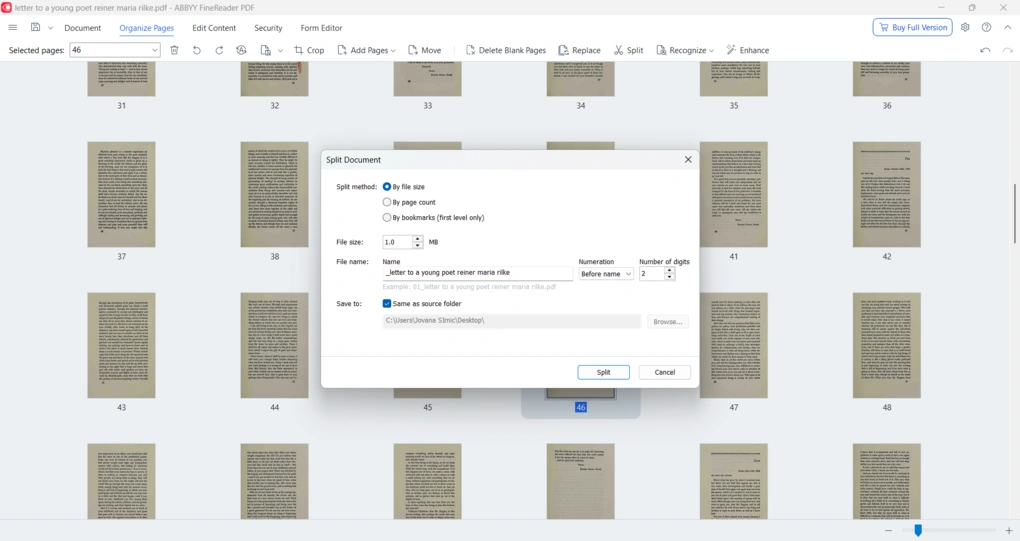 ABBYY PDF organization options