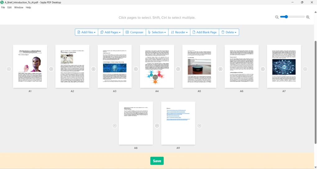 sejd pdf organization