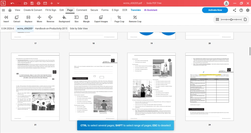 soda pdf organization